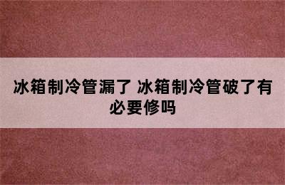 冰箱制冷管漏了 冰箱制冷管破了有必要修吗